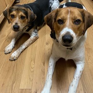 Meet your Posher, Kelli